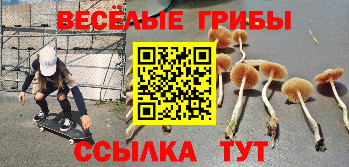 Королёв  Галлюциногенные грибы ЛСД  Вход с VPN 