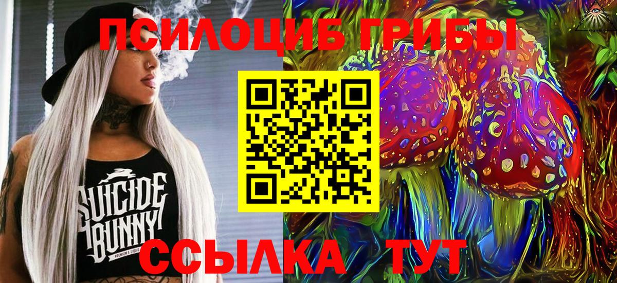 Псилоцибиновые грибы мухоморы Королёв